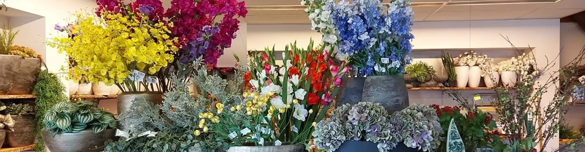 767-bloemen_header_westerhaar-vriezenveensewijk.webp 767-bloemen_header_westerhaar-vriezenveensewijk.webp