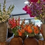 Zijdebloemen Zijdebloemen